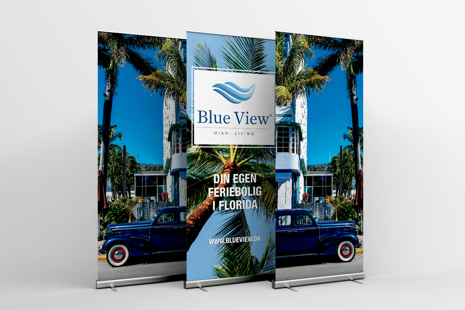 blueview_backboneagency